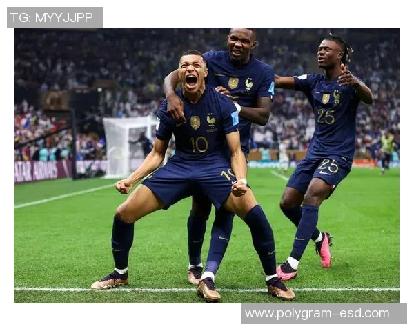 法国与冰岛足球阵型分析与战术对比探讨